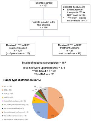 Safety and efficacy of Holmium-166 selective internal radiotherapy of primary and secondary liver cancer confirmed by real-world data